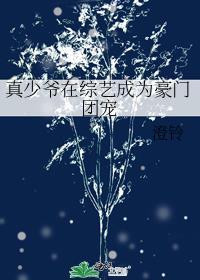 真少爷在综艺成为豪门团宠TXT