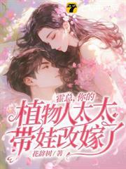 宋小姐放手再不回头的大结局