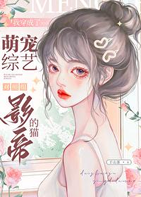 怎么饲养小猫咪