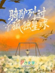 骑驴列过孤独星球长佩文学