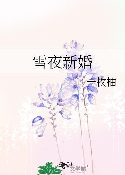 雪夜新婚全文阅读免费