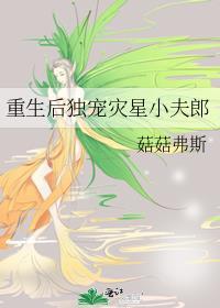 重生后独宠灾星小夫郎by菇菇弗斯百度
