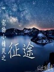 宠物小精灵之旅途
