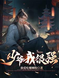 “少爷