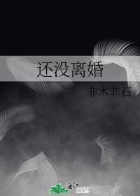 还没离婚又和别人怀孕犯法吗