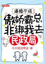 逼婚总裁好霸道