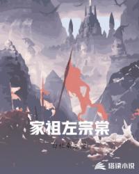 家祖左宗棠TXT免费