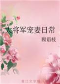 大将军宠妻二三事