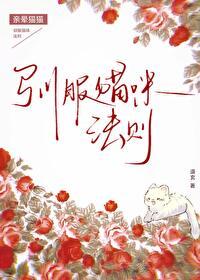 驯服猫咪法则by道玄免费