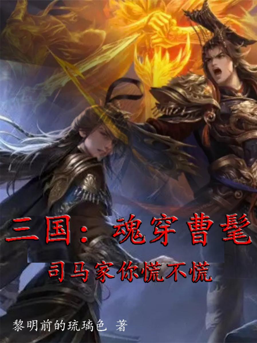 穿越曹髦的