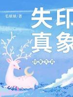 印象失真by毛球球讲什么