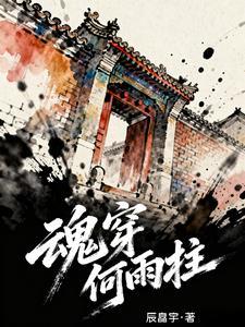 魂穿何雨柱辰晶宇