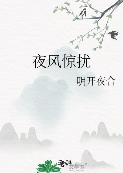夜风惊扰番外正版阅读