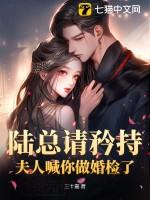 陆总夫人a