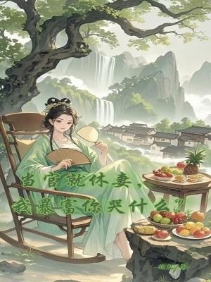 当官就休妻