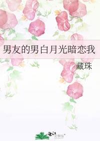 男朋友的白月光