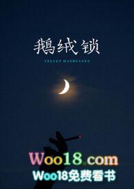 鹅绒锁全文免费阅读
