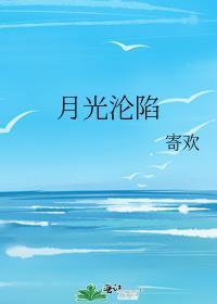 月光沦陷免费阅