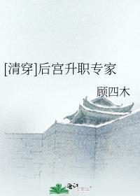清穿之后院晋升守则59章