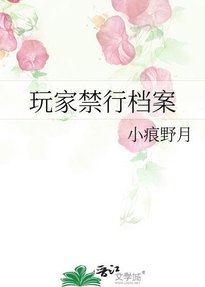 玩家禁行档案原著叫什么名字