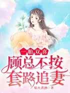 一胎双宝总裁爹地太卖力顾西城