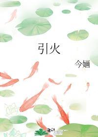 引火特性