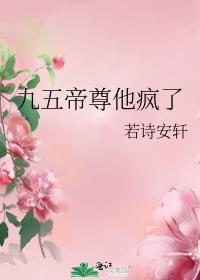 九五之尊帝尊