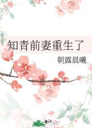知青前妻重生了免费阅读全文