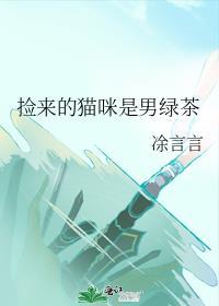 捡来的猫咪是男的漫画
