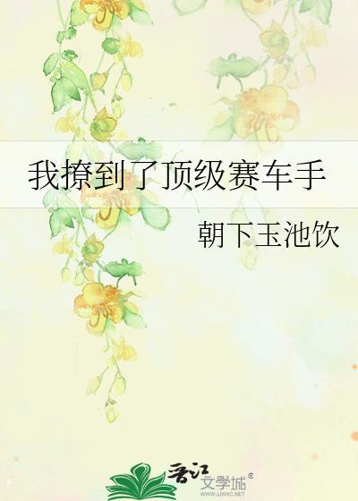 顶级赛车手韩漫