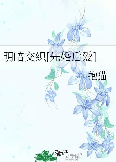 明暗交界线百科