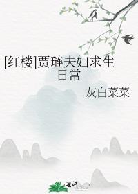 贾琏媳妇