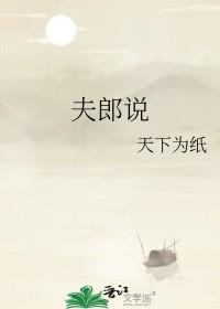 夫郎说天下为纸