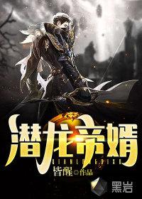 潜龙帝婿笔趣阁