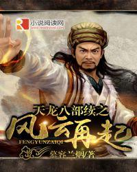 天龙八部续之风云再起演员表