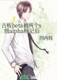 古板beta被两个s级alpha标记后笔趣