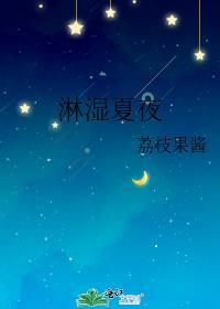 淋湿夏夜TXT