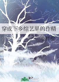 穿成下乡女配