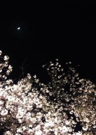 同饮杯中月全文免费阅读