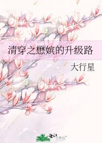 清穿之僖嫔