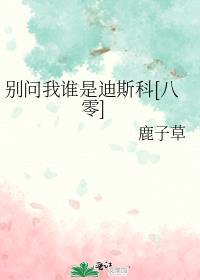 别问我是什么迪斯科