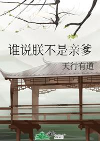 谁说朕不是亲爹 天行有道