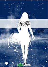 宠樱txt