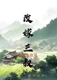改嫁三叔百度TXT