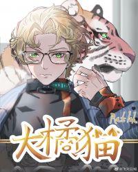 柔弱无助大橘猫txt全本