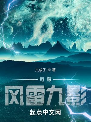 司藤风雷九影 文成子