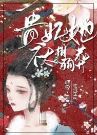 贵妃她不太想殉葬讲的什么