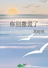 你别撒谎了苏洛南免费阅读