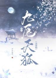九尾狐找九尾猫的
