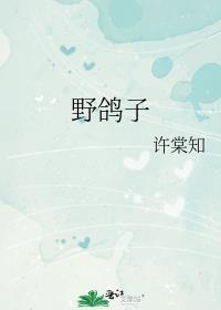 野鸽子图片